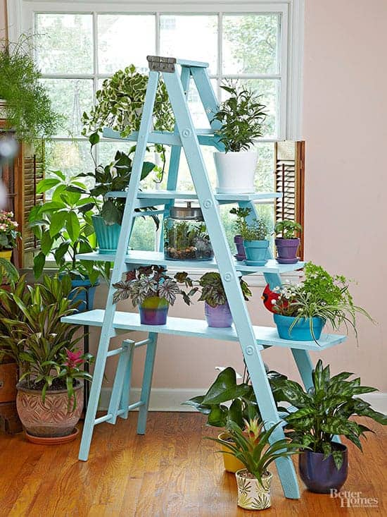 6 Creative DIY Ways To Display Houseplants