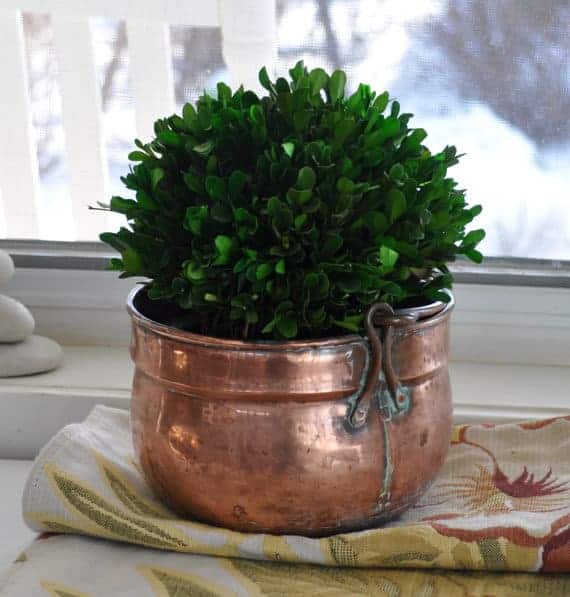 6 Creative DIY Ways To Display Houseplants