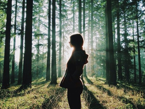 girl in forest with light